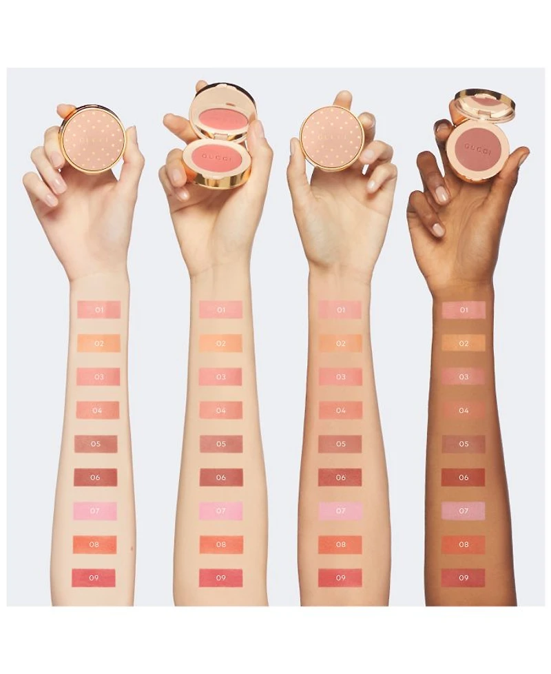 Blush de Beauté Luminous Matte Powder
