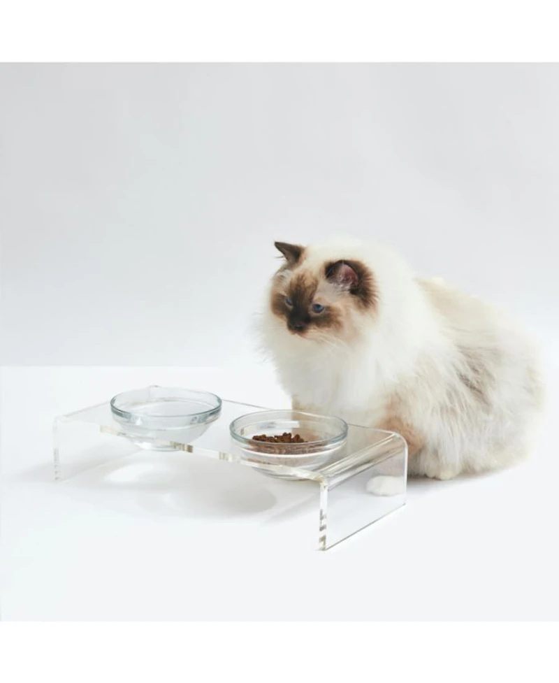 Small Clear Double Glass Bowl Pet Feeder, 1 Quart Bowls