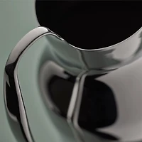 Dorotea Steel Carafe