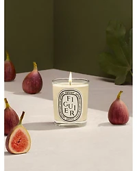 Figuier (Fig) Scented Candle