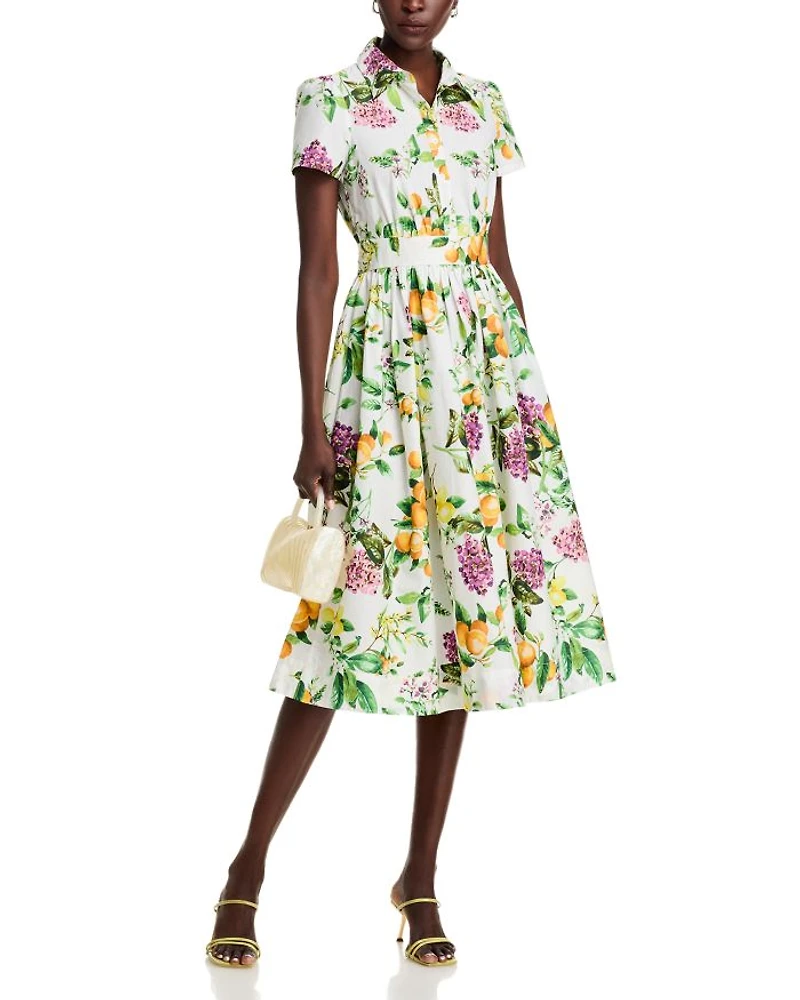 Lemon Print Fit & Flare Poplin Shirt Dress - Exclusive