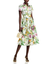 Lemon Print Fit & Flare Poplin Shirt Dress - Exclusive
