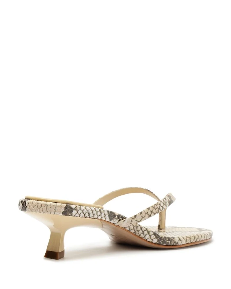 Women's Carolyn Thong Sandals