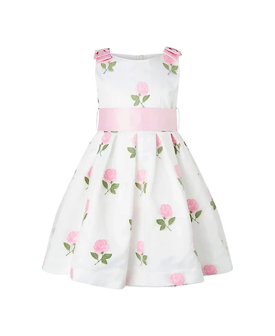 Rachel Riley Girls' Rose Embroidered Organza Dress - Little Kid
