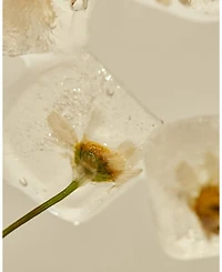 Relief Chamomile Cream