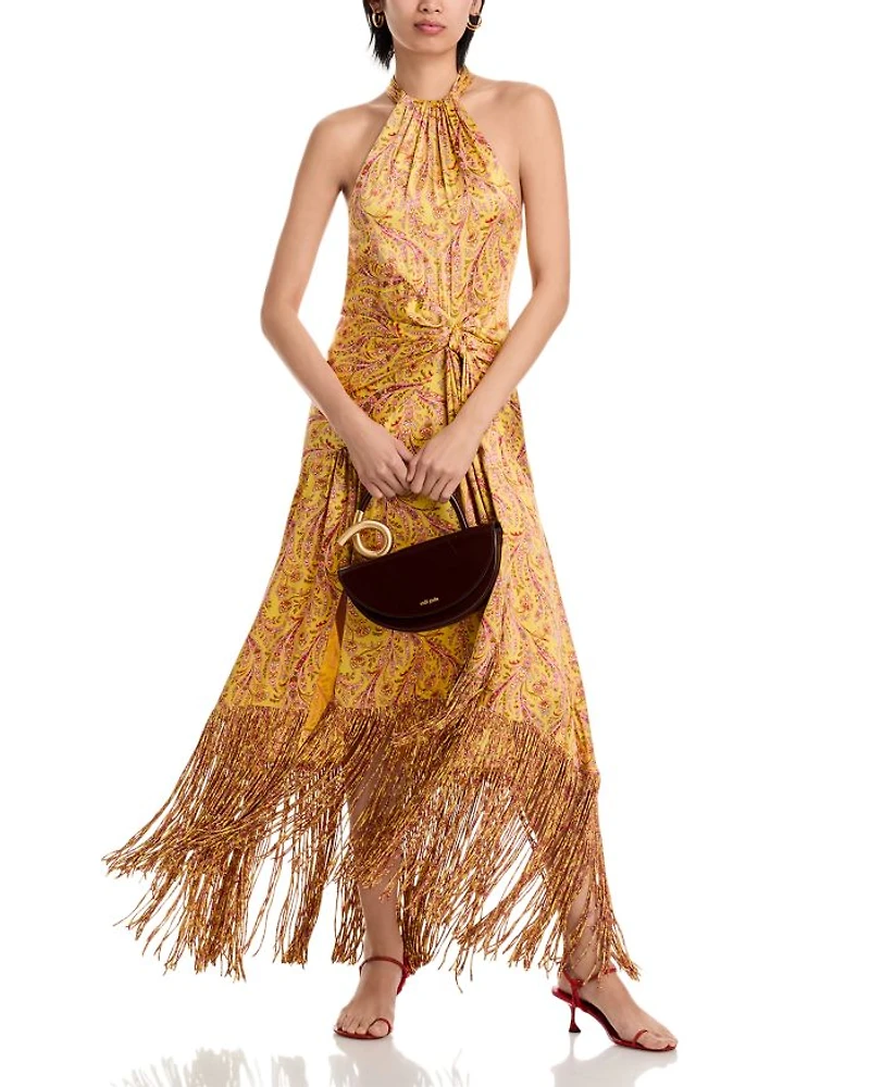 Charming Paisley Teresa Dress