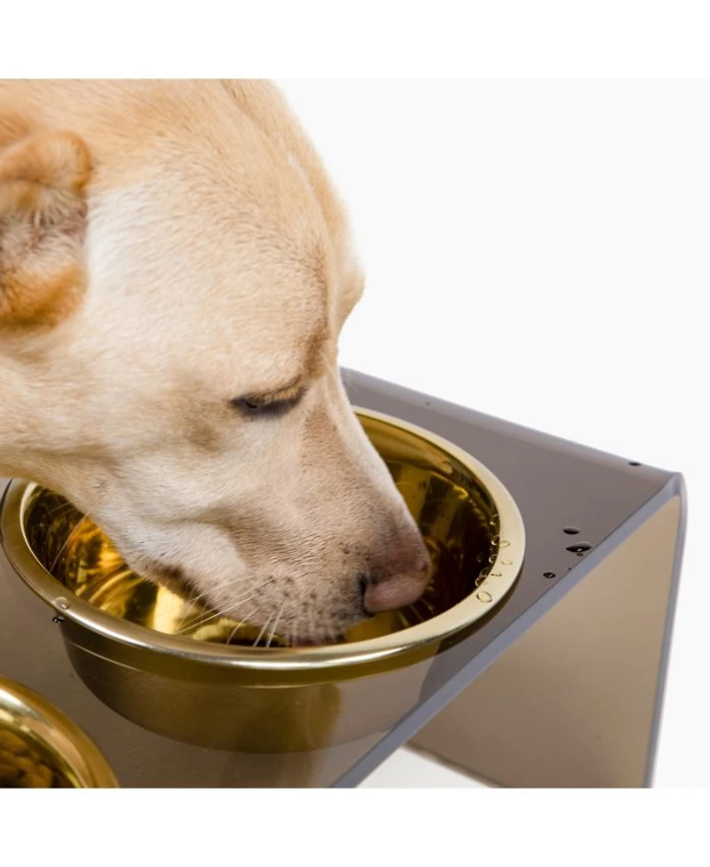 Large Smoke Bronze Double Bowl Pet Feeder, 2 Quart Bowls