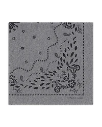 Gerard Darel Rania Cashmere Scarf