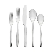 Nambe Aidan Flatware 5 Piece Place Setting