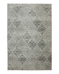 Karastan Euphoria Wexford Area Rug