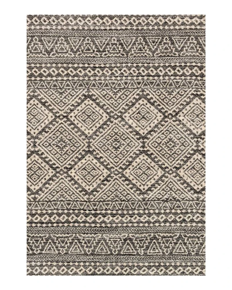 Emory EB-08 Area Rug, 7'7" x 10'6"