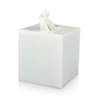 Mike and Ally Ice Boutique Tissue Box