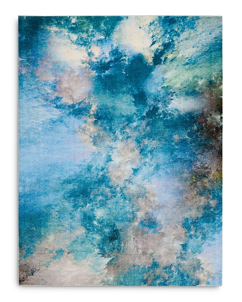 Nourison Le Reve LER02 Area Rug, 7'9 x 9'9