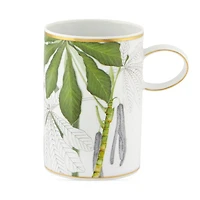 Amazonia Mug