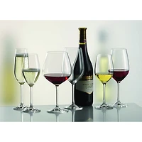 Forte Claret Burgundy Wine Glass, Set of 6