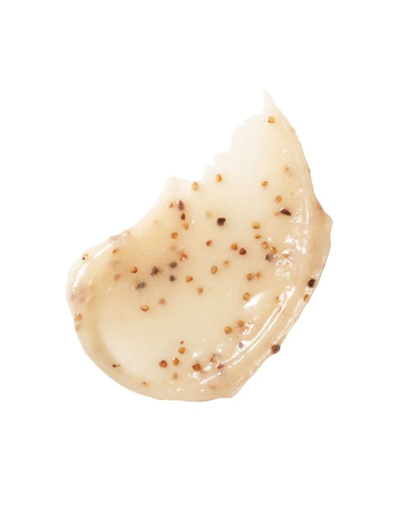 Ambre Vanille Exfoliating Body Wash 7.5 oz.