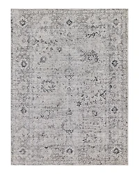 Exquisite Rugs Cambridge ER4966 Area Rug, 6' x 9'