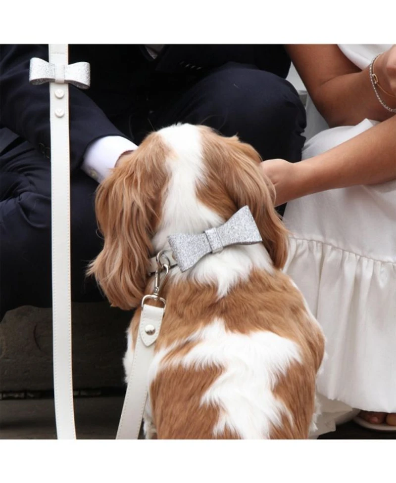 David Collar & Michael Dog Bow Tie for Weddings