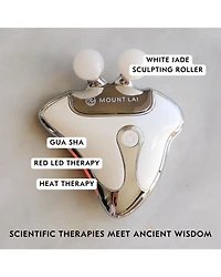 Vitality Qi LED Therapy Gua Sha Device