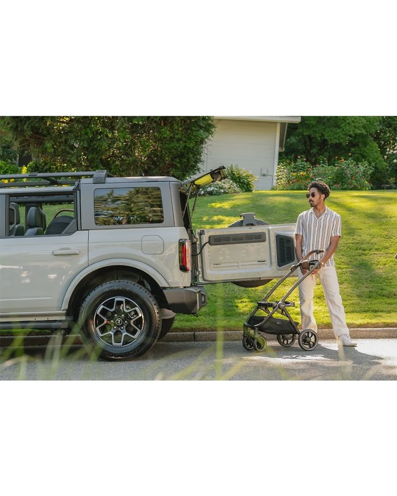 Pets Roscoe™ Stroller Frame for Maeve™ Pet Car Seat
