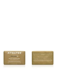Heavy Armor Facial Cleansing Bar