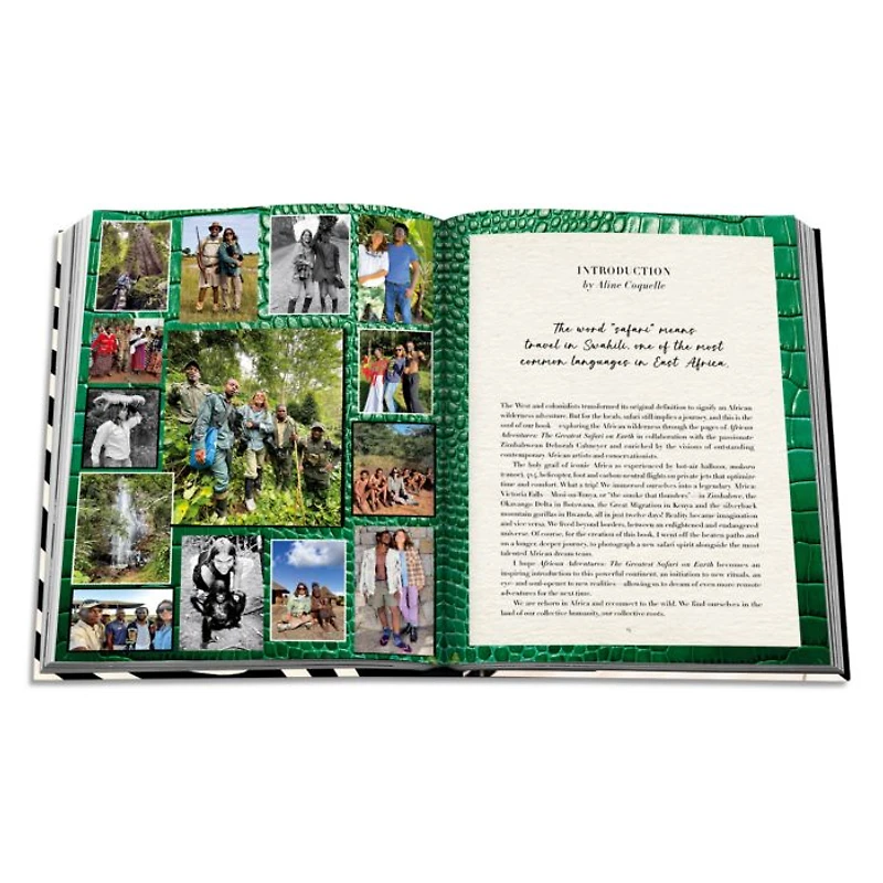 African Adventures: The Greatest Safari on Earth