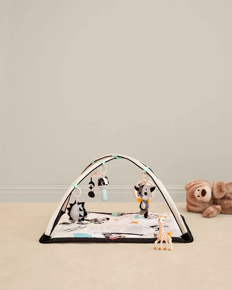 Magical Tales Gymini Baby Activity Gym and Mat - Ages 0+