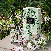 Indian Jasmine Specialty Reed Diffuser, 5.9 oz.
