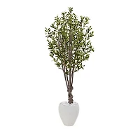 5ft. Olive Artificial Tree in White Oval Planter