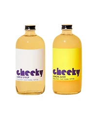 Cheeky Cocktails Tom Collins Set - 16oz