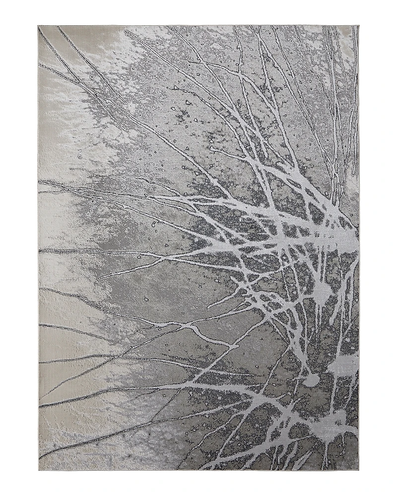 Feizy Astra ARA39L5F Area Rug