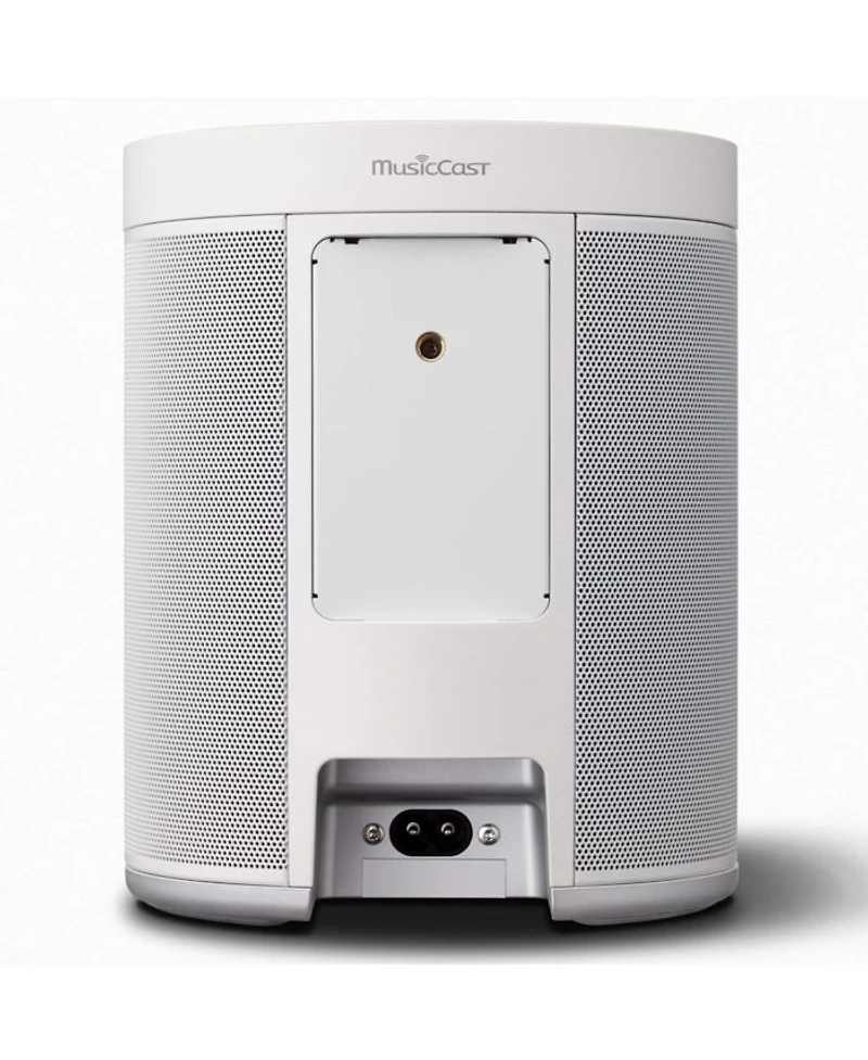 WX-021 MusicCast 20 Wireless Speaker