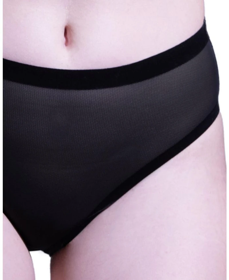 Sheer High Cut Highwaisted Brief