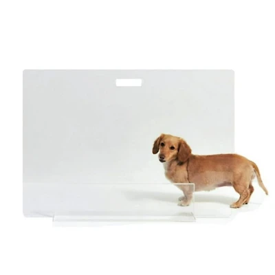 Clear View Freestanding Panel Pet Gate, 30" Width
