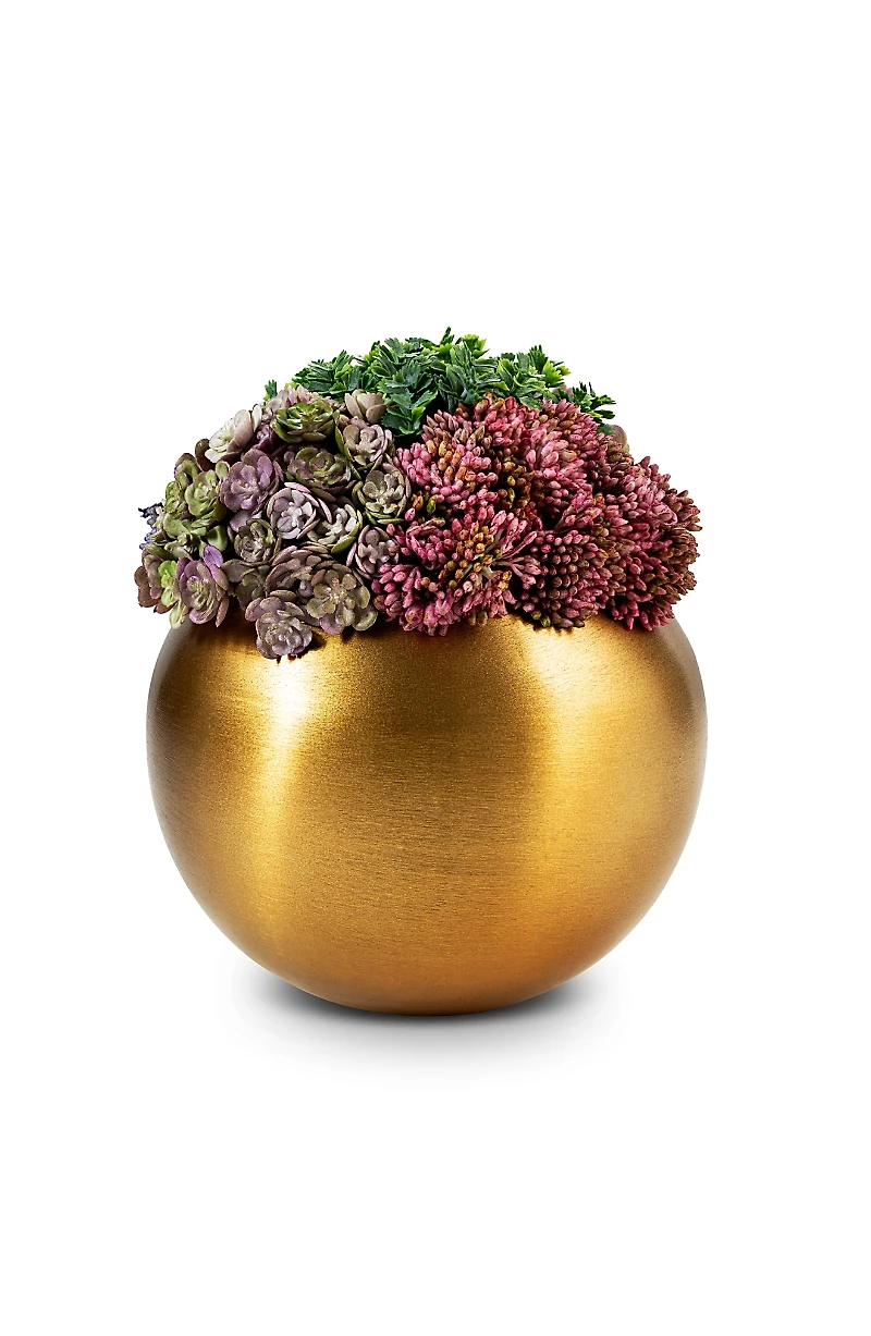 CocoBella Valencia Gold-tone Sedum Arrangement