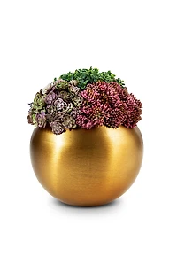 CocoBella Valencia Gold-tone Sedum Arrangement