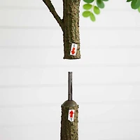 6' Artificial Greco Citrus Tree with Real Touch Leaves