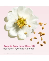 Hydrating Peptide & Plumping Lip Oil Balm