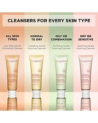 Soothing Gentle Foaming Face Cleanser with Shea Butter 4.2 oz.