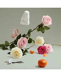 The Coveted Duchess Rose Eau de Parfum 2.5 oz.