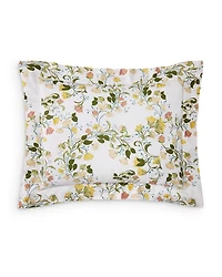 Botanica King Sham