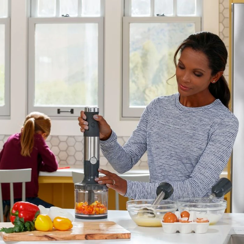 500 Watt Immersion Blender with Accessories