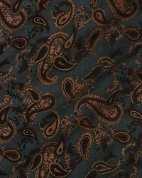 Paisley Print Scarf - Exclusive