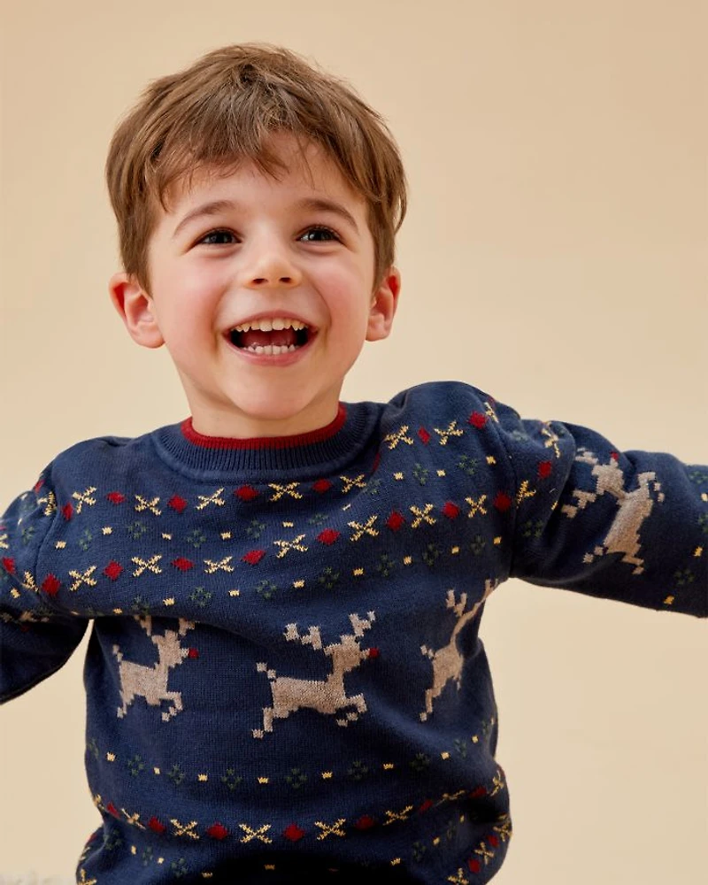 Unisex Reindeer Fair Isle Sweater - Baby