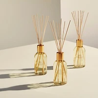Midnight in Milan Reed Diffuser, 8.4 oz