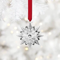 2024 8th Annual Star Ornament