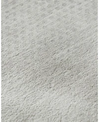 Dalyn Trevi TV4  Area Rug Collection