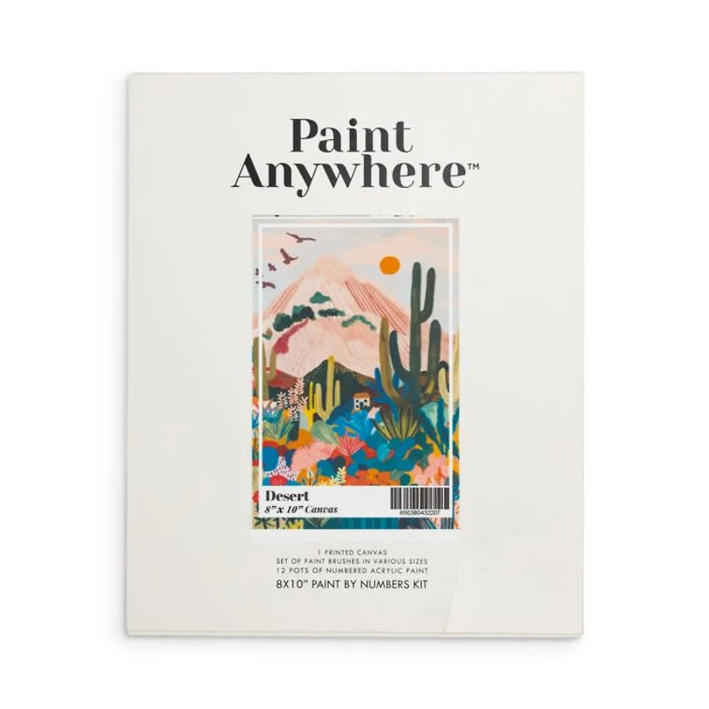 Cactus Mini Paint By Numbers Kit