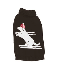Skiing Dog Pet Sweater