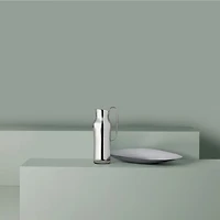 Dorotea Steel Carafe
